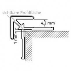 HSK RenoDeco Eckprofil außen gerade 255cm Schwarz matt