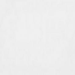 Wandfliese Weiß matt 20x20cm 