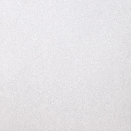 Casalgrande SPAZIO Fliese 60x60 10MM | Bianco