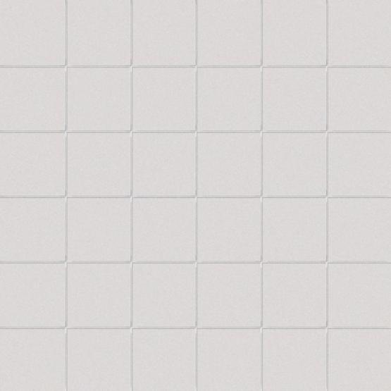 CESI FULL BODY MOSAIK 5X5 Mosaik 