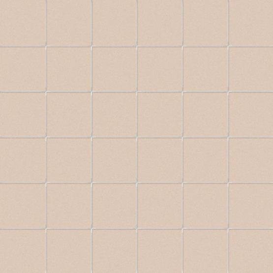 CESI FULL BODY MOSAIK 5X5 Mosaik 30x30 | Argon