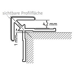 HSK RenoDeco Eckprofil außen gerade 255cm Chrom-Optik