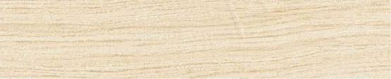 Lea WOOD-STOCK SLIMTECH 5PLUS Fliese 20x100 | Snow Wood