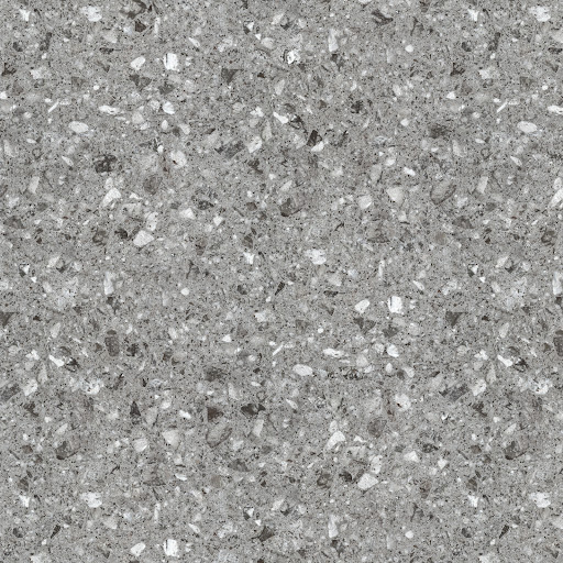 HSK RenoDeco 150x255cm seidenmatt Terrazzo Granito 