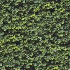 Casalgrande LIMPHA KONTINUA Fliese 